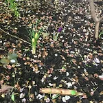 Cherrytree 1840 Prázdninový dům *