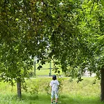 Cherrytree 1840 بيت للعطل هيمباخ