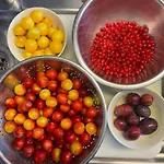 Cherrytree 1840 Prázdninový dům *