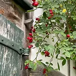 Prázdninový dům Cherrytree 1840 *