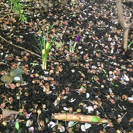 Cherrytree 1840 Hébergement de vacances *