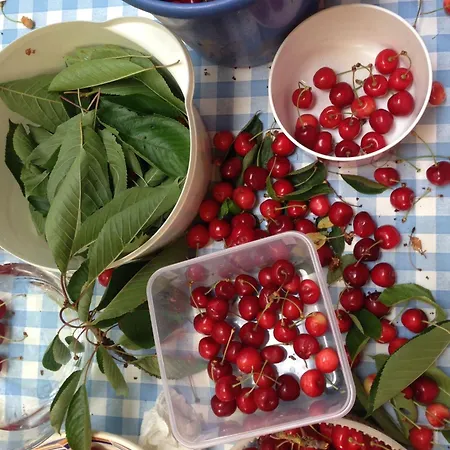 Cherrytree 1840 Σπίτι διακοπών Heimbach