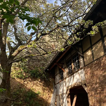 Holiday home Cherrytree 1840 Heimbach