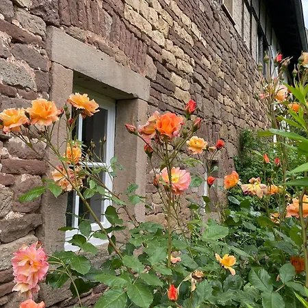 Cherrytree 1840 Hébergement de vacances Heimbach