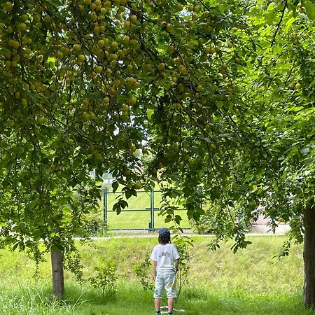 Cherrytree 1840 Σπίτι διακοπών Heimbach