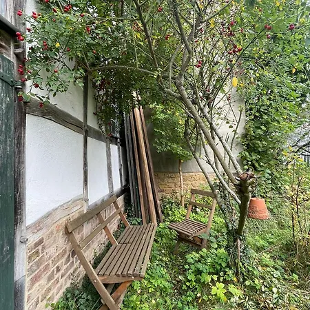 Cherrytree 1840 * Heimbach