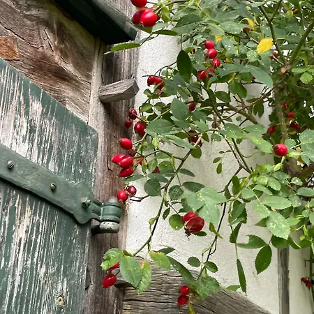 Hébergement de vacances Cherrytree 1840 *