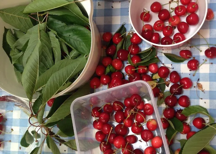 Cherrytree 1840 Дом отдыха Хаймбах