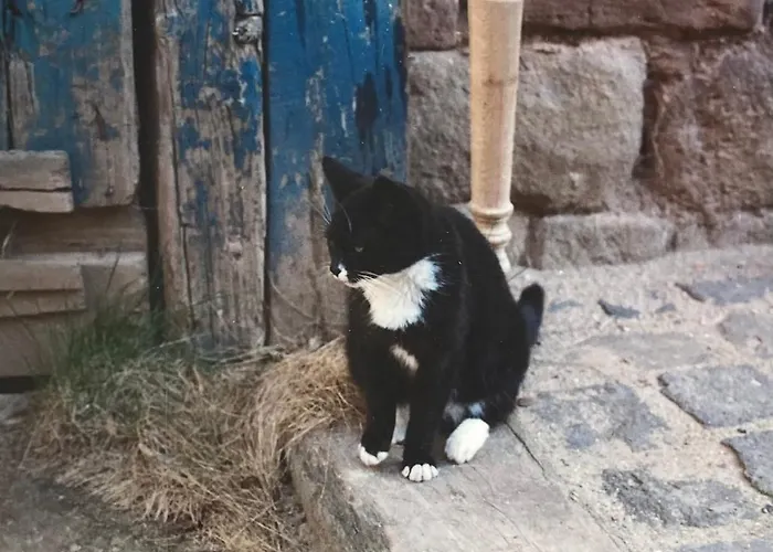 Cherrytree 1840 Hébergement de vacances *