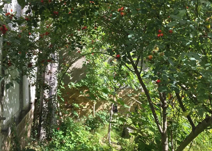 Cherrytree 1840 * Heimbach