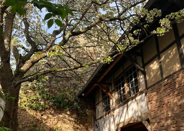 度假居 Cherrytree 1840 海姆巴赫