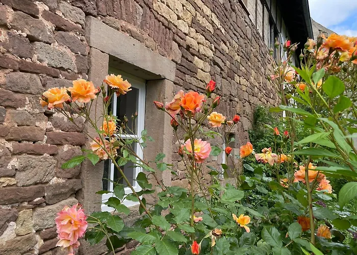 Cherrytree 1840 Hébergement de vacances Heimbach