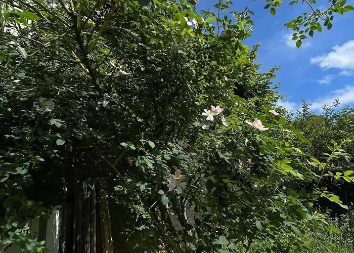 Feriehus Cherrytree 1840 *