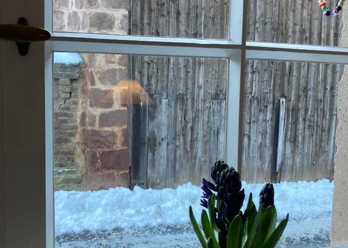 Hébergement de vacances Cherrytree 1840 Heimbach