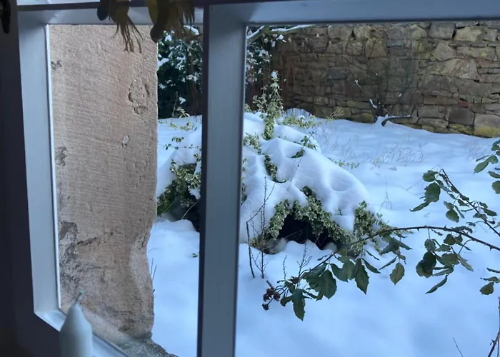 Cherrytree 1840 Heimbach