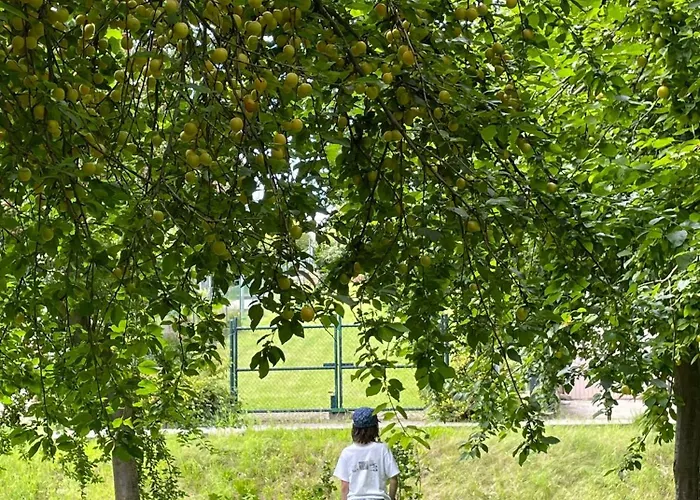 Cherrytree 1840 Feriehus Heimbach