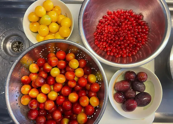 Cherrytree 1840 Feriehus *