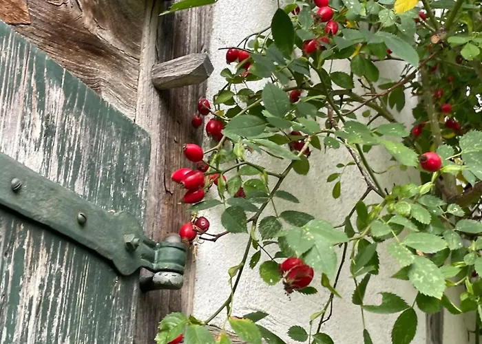 Feriehus Cherrytree 1840 *